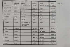 Aylık Asgari Yaşam Giderleri 