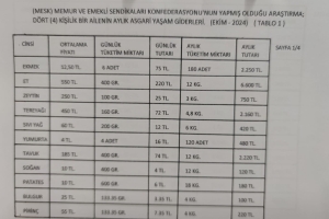 Aylık Asgari Yaşam Giderleri 